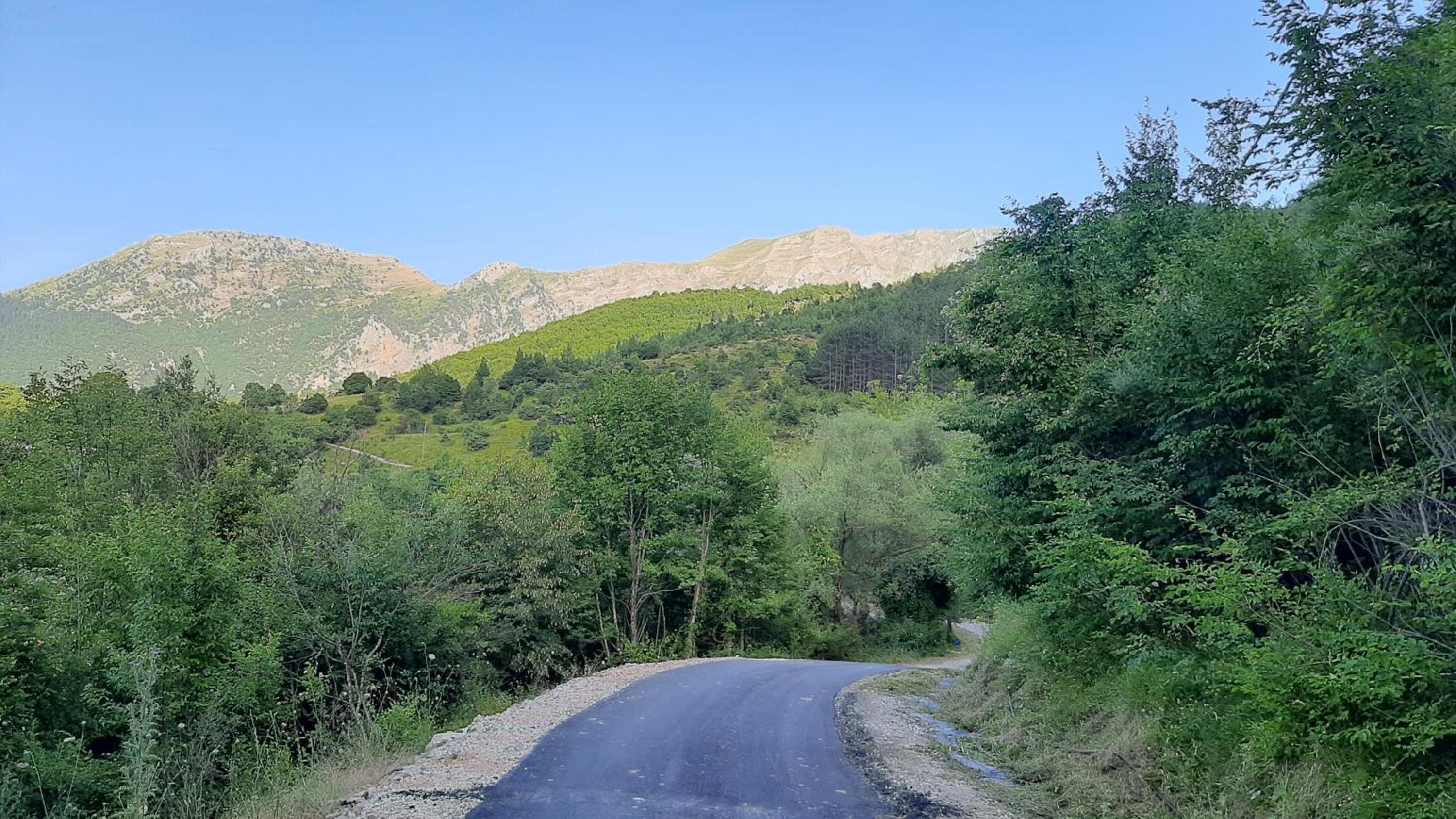 Kria Vrisi
