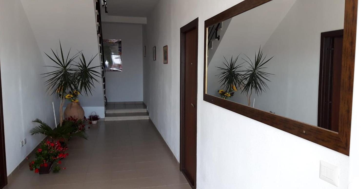 Green House Alba Iulia view 4