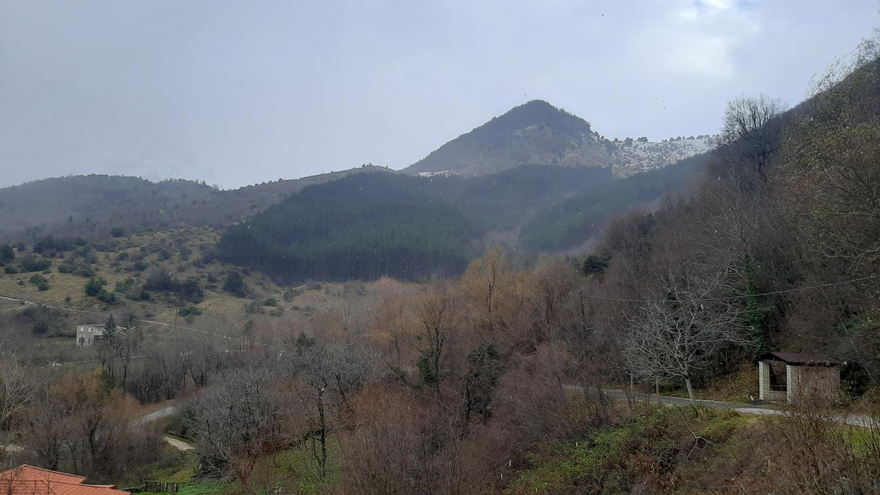 Kria Vrisi