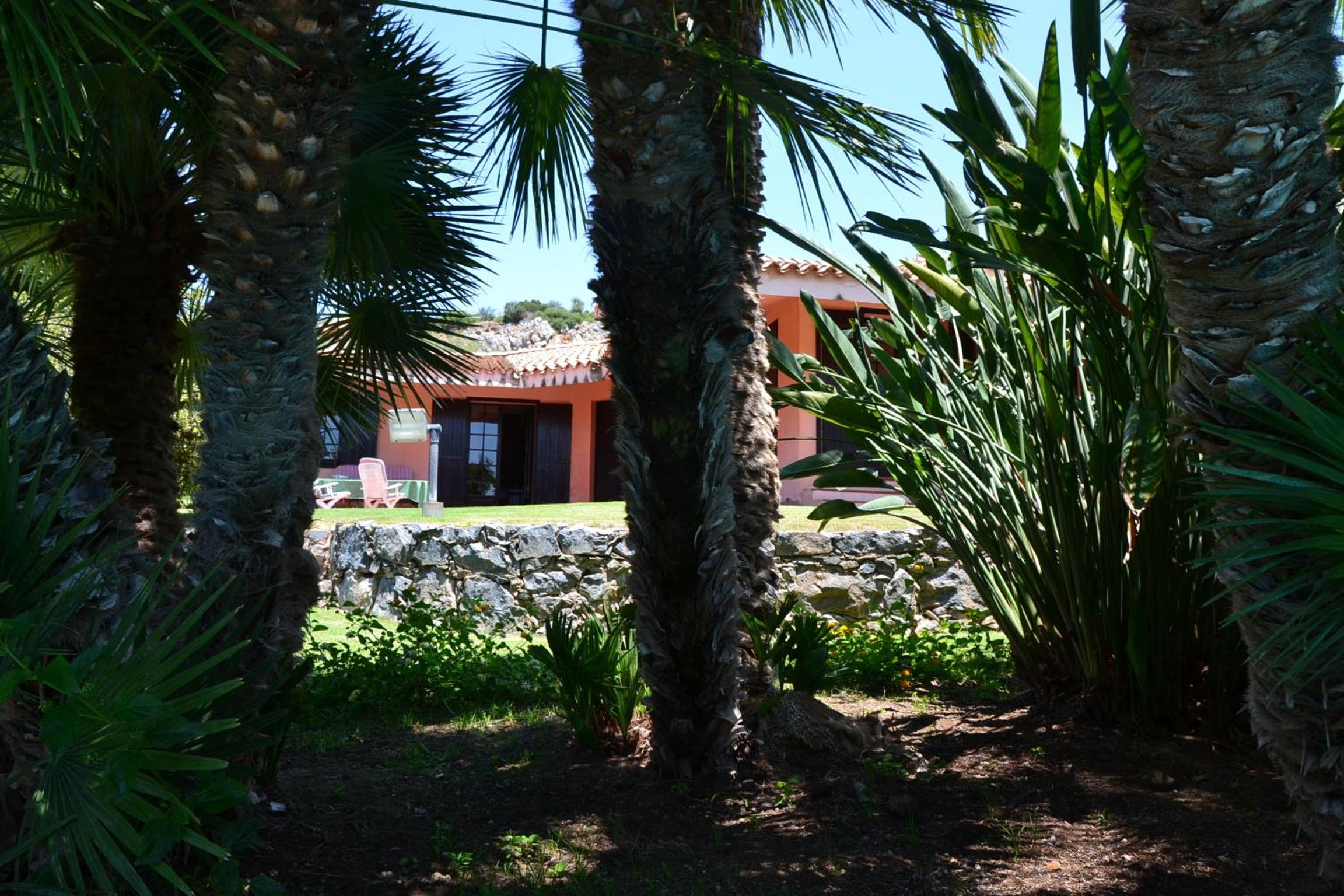 Photo 44
