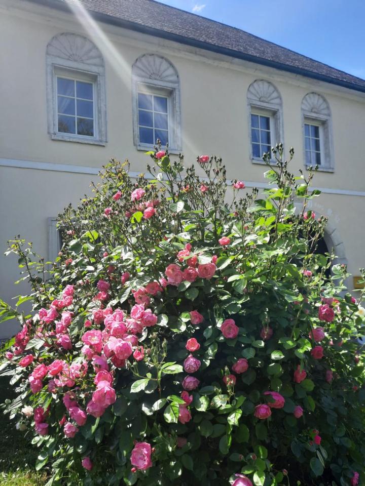 Gästehaus Parkfrieder