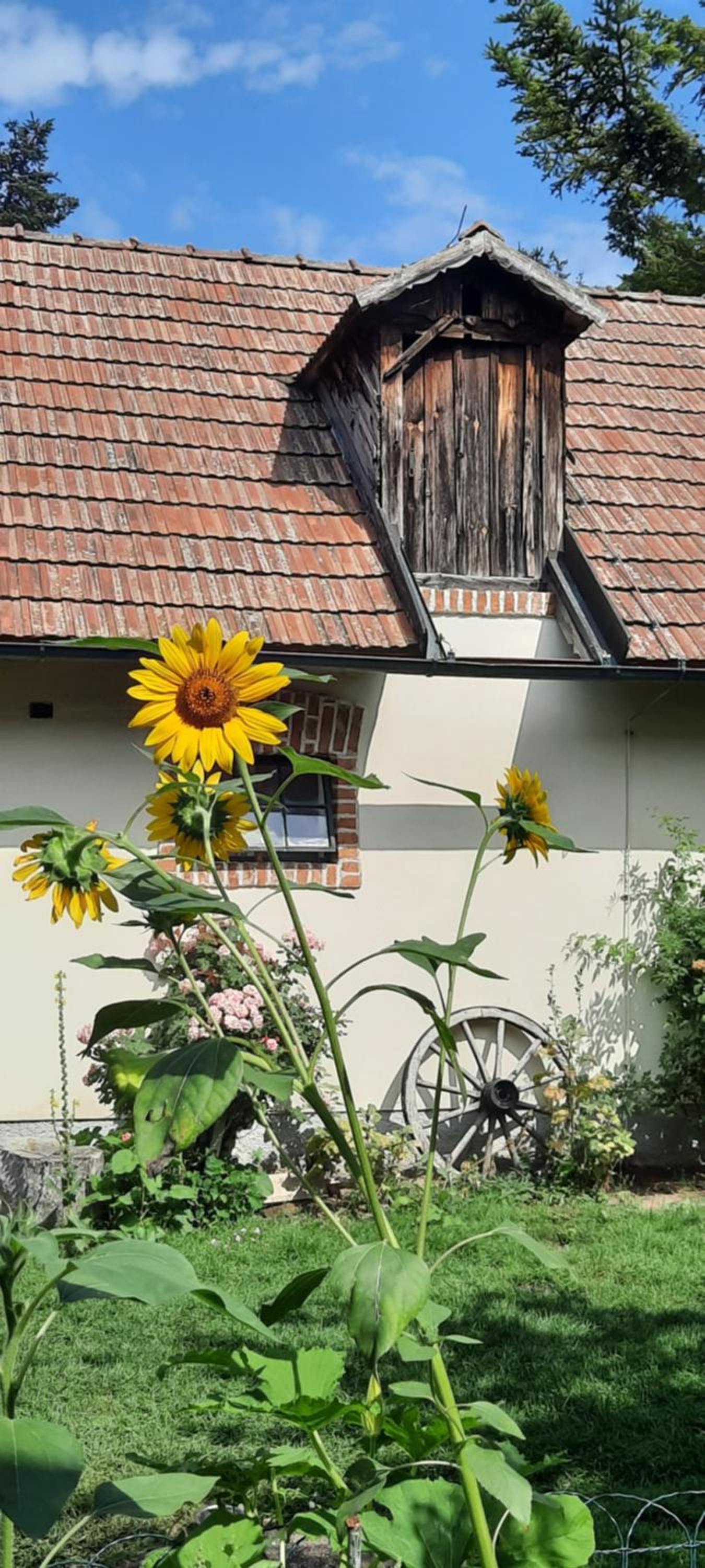 Gästehaus Parkfrieder