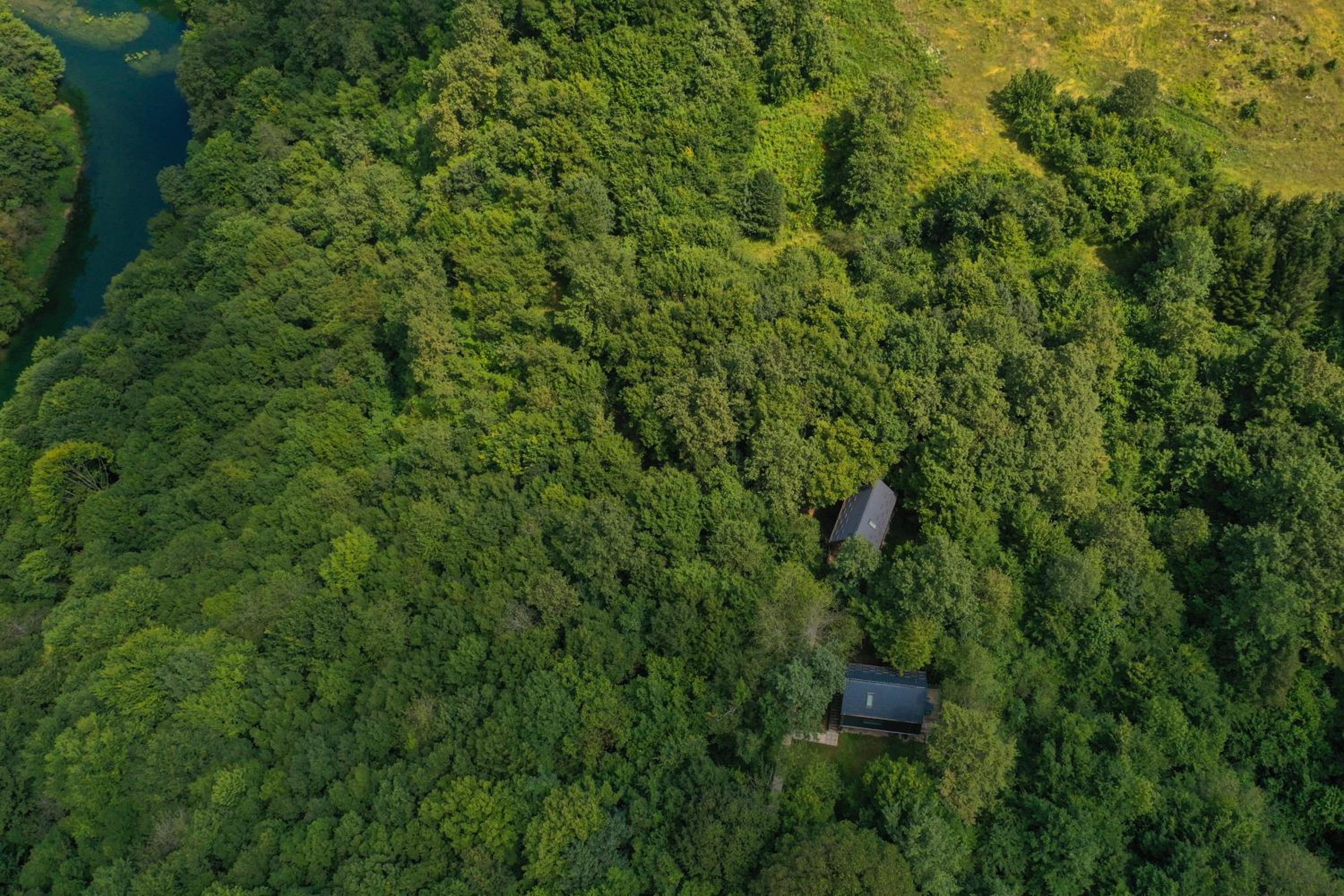 Tree Elements treehouse retreat