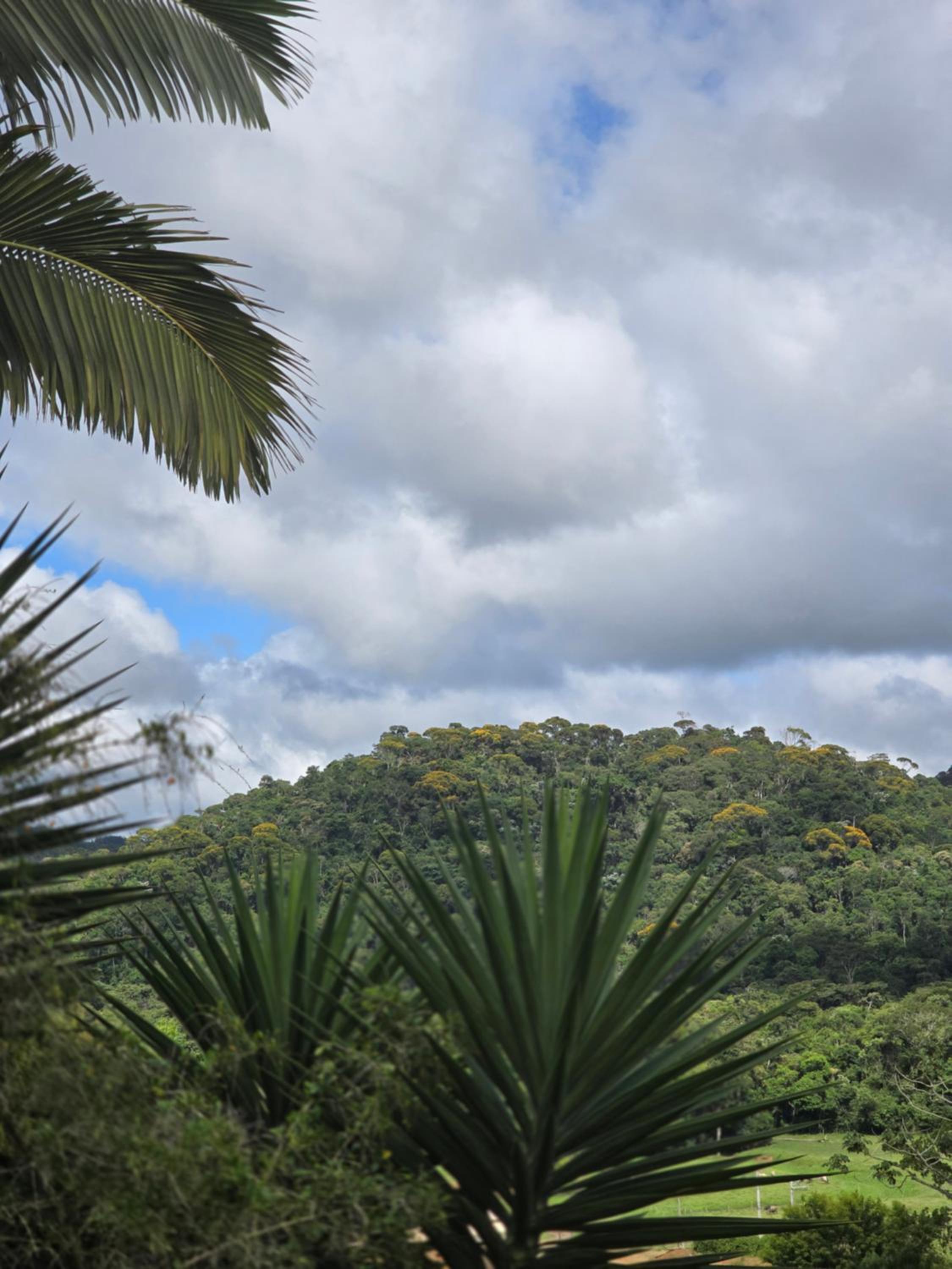 Suíte de Charme na Região de Pedra Azul