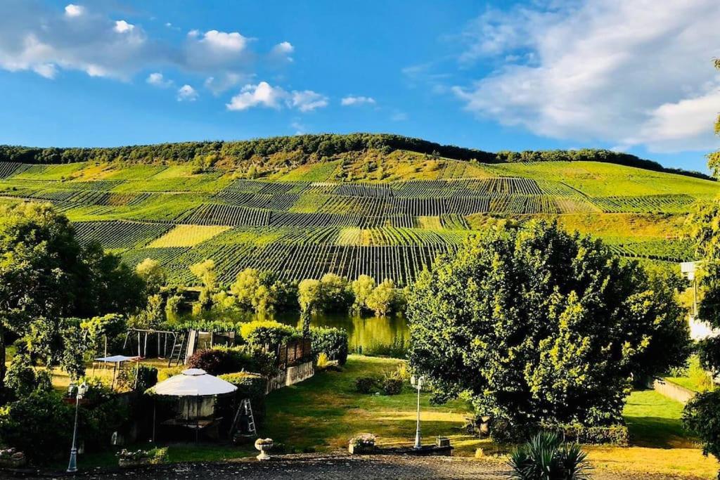 Wohnen direkt an Mosel und Goldbach