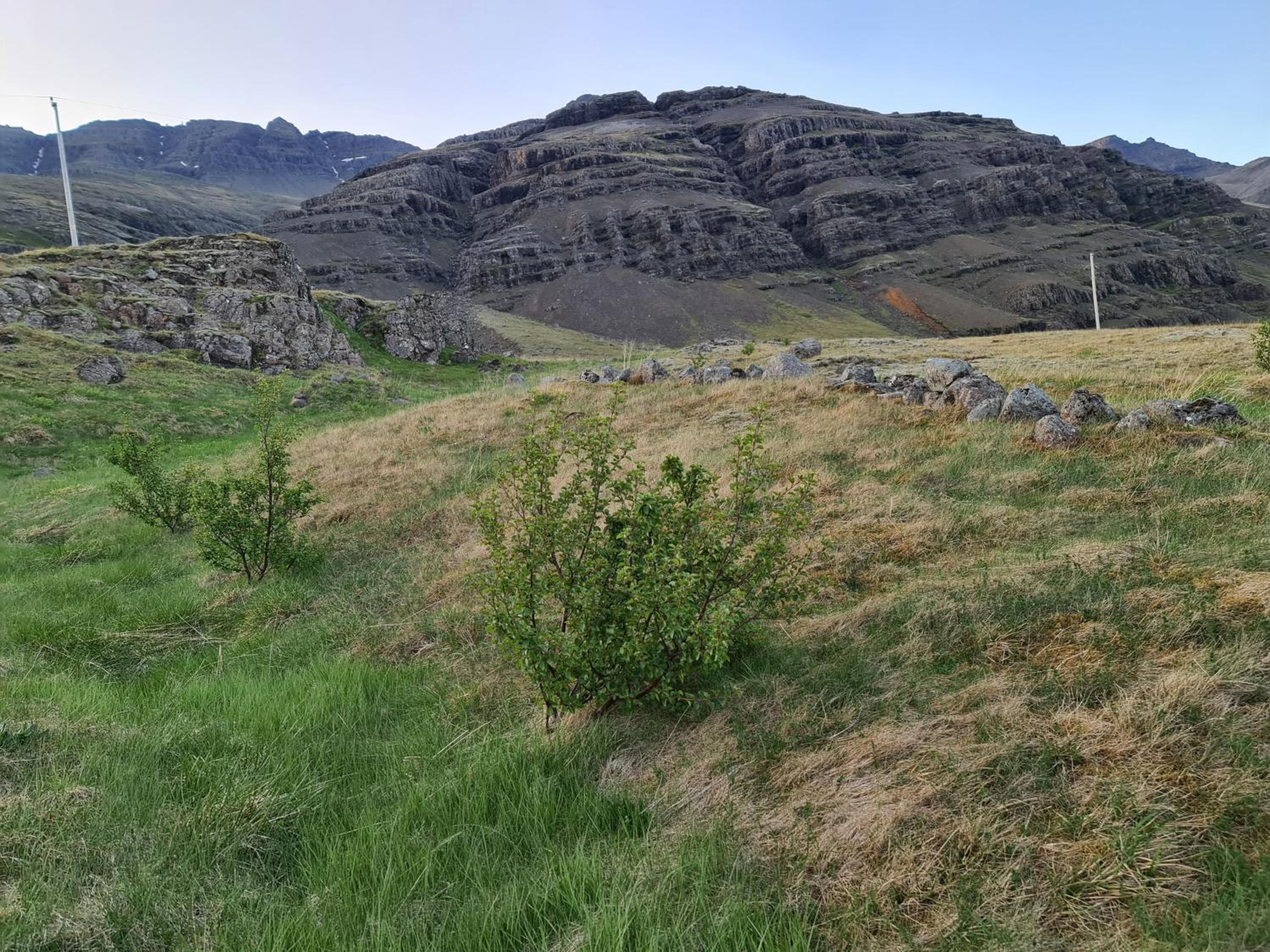 Geithellar