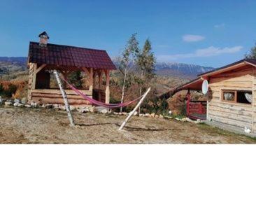 Cabana doi mesteceni