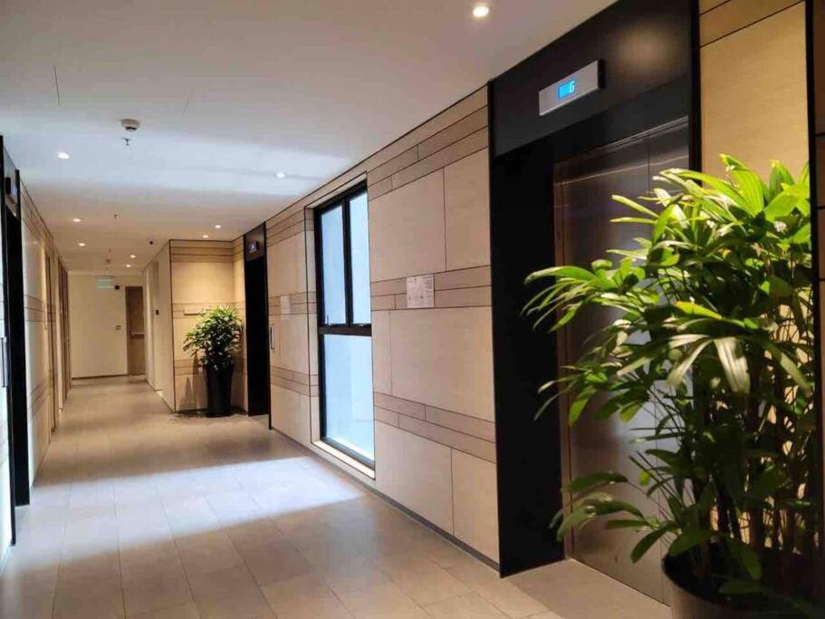Zenity Apartel Dist 1 by SSens