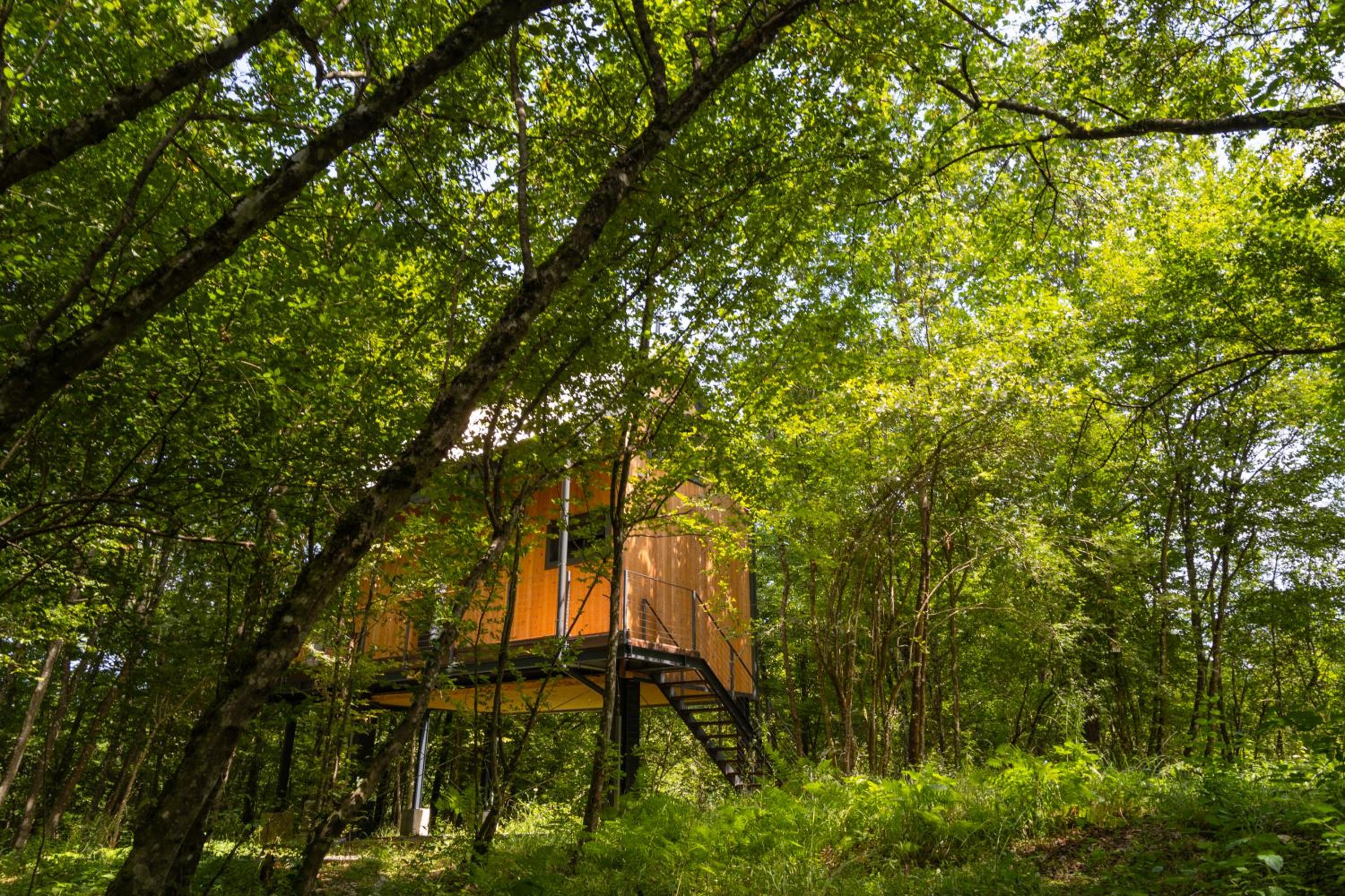 Tree Elements treehouse retreat