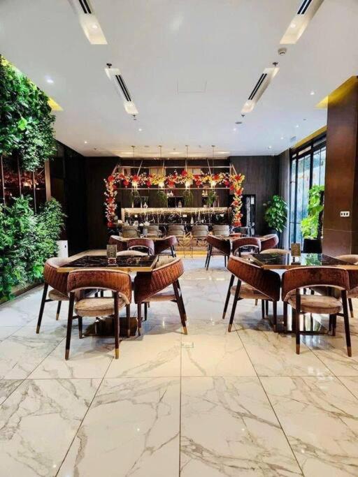 Zenity Apartel Dist 1 by SSens