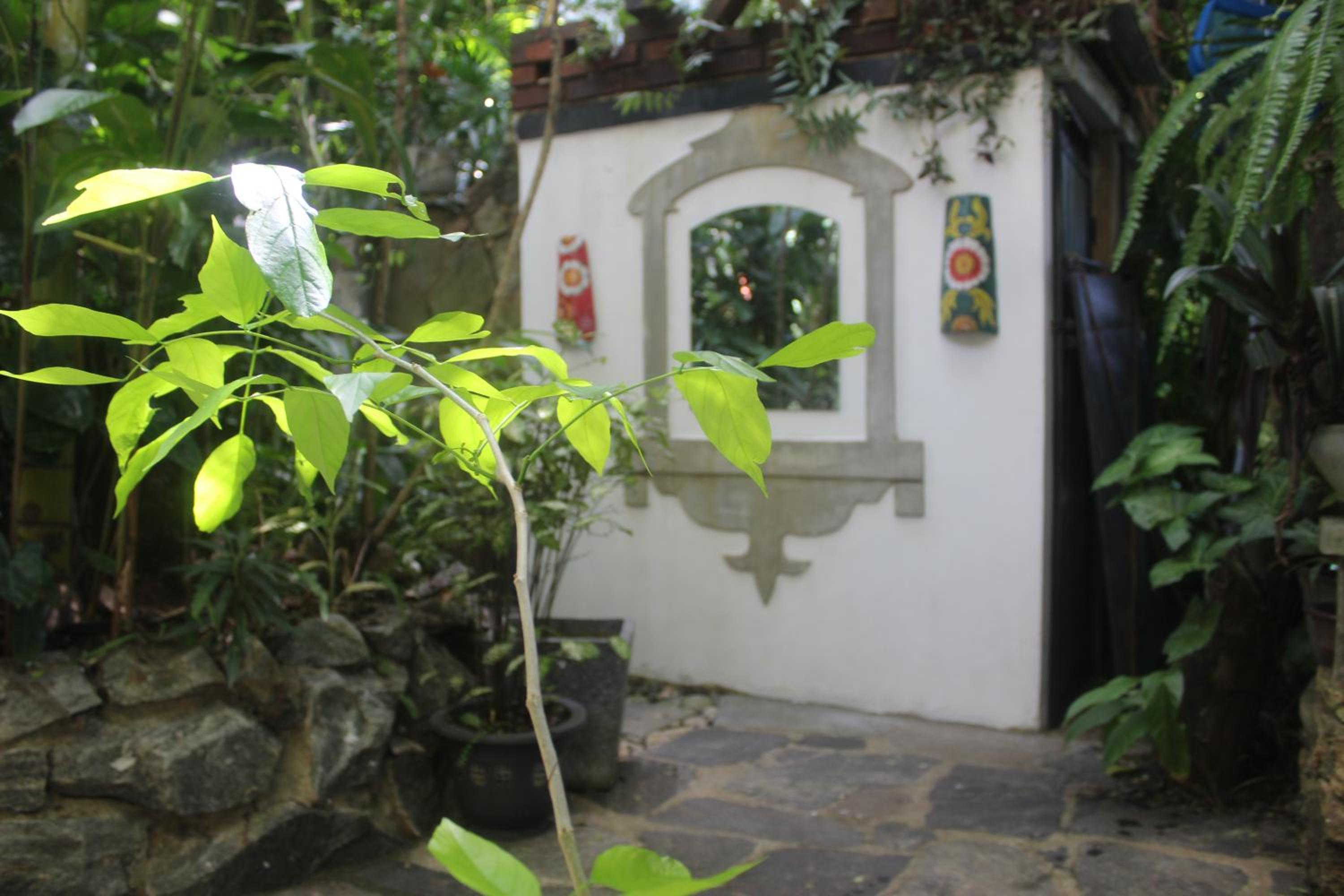 Photo 46