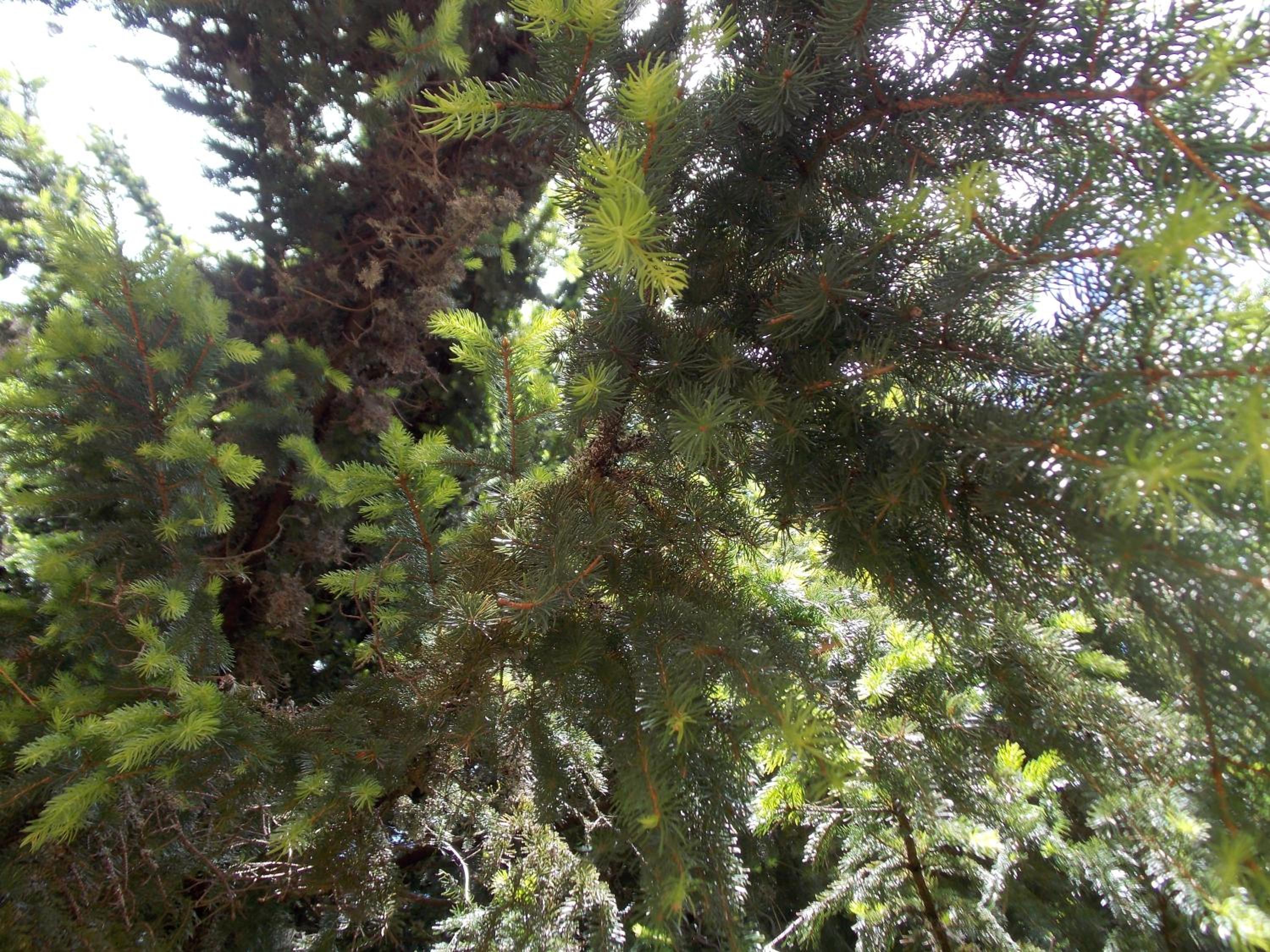 Photo 74
