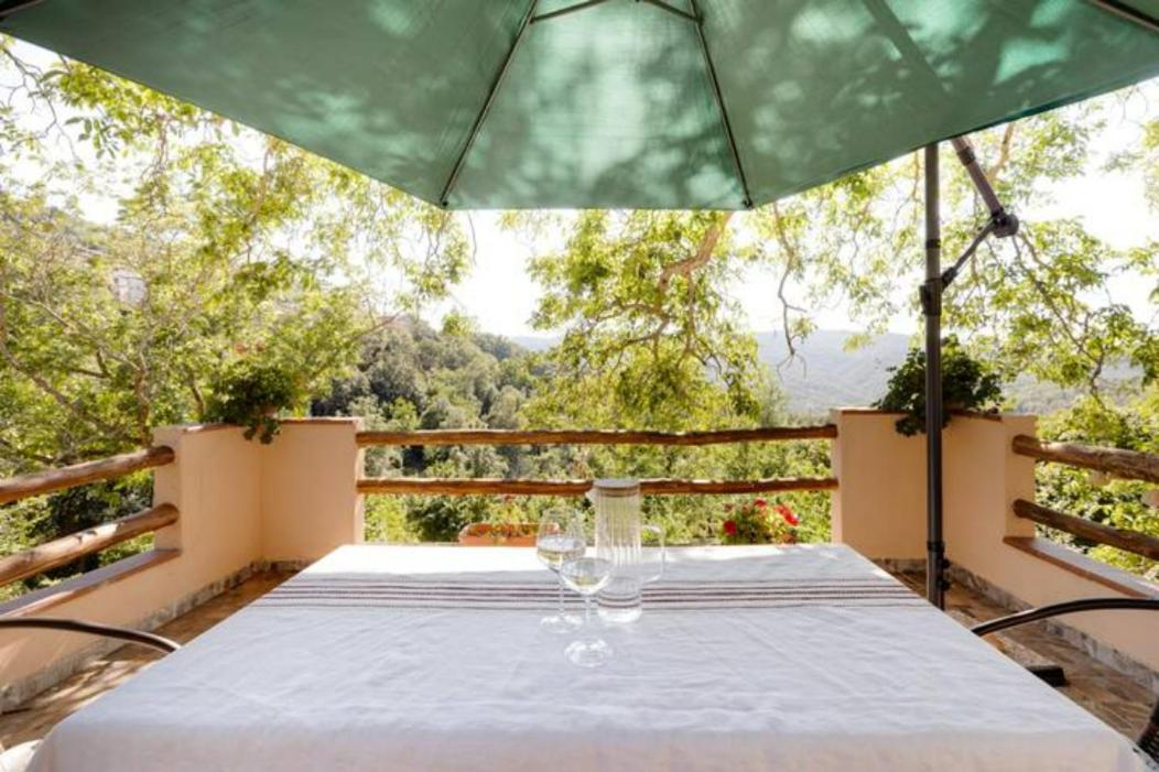 Agrifoglio B&B con giardino