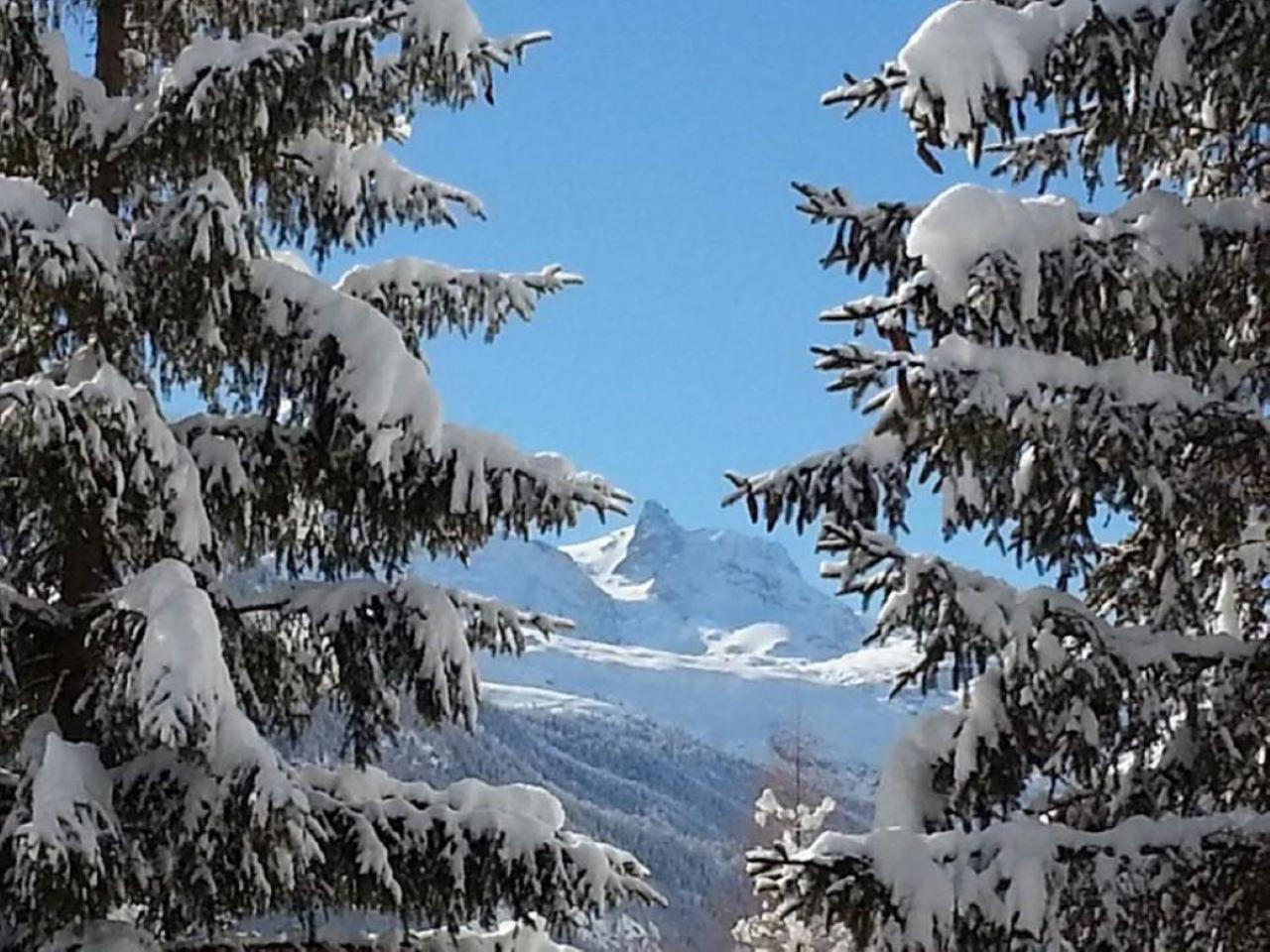 Monte Rosa Apartments Täsch