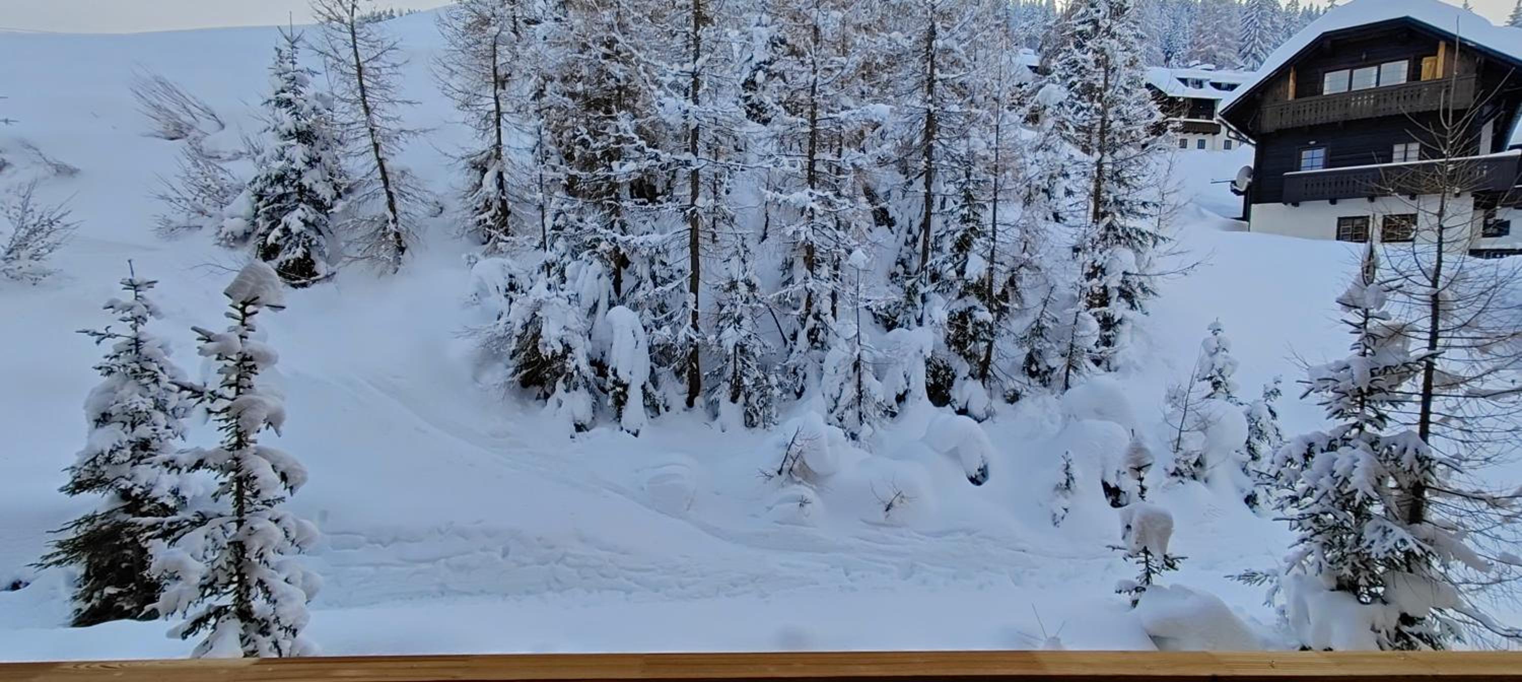 Sonnleitn AlpinWell Appartment (Ski in&out + Wellness)
