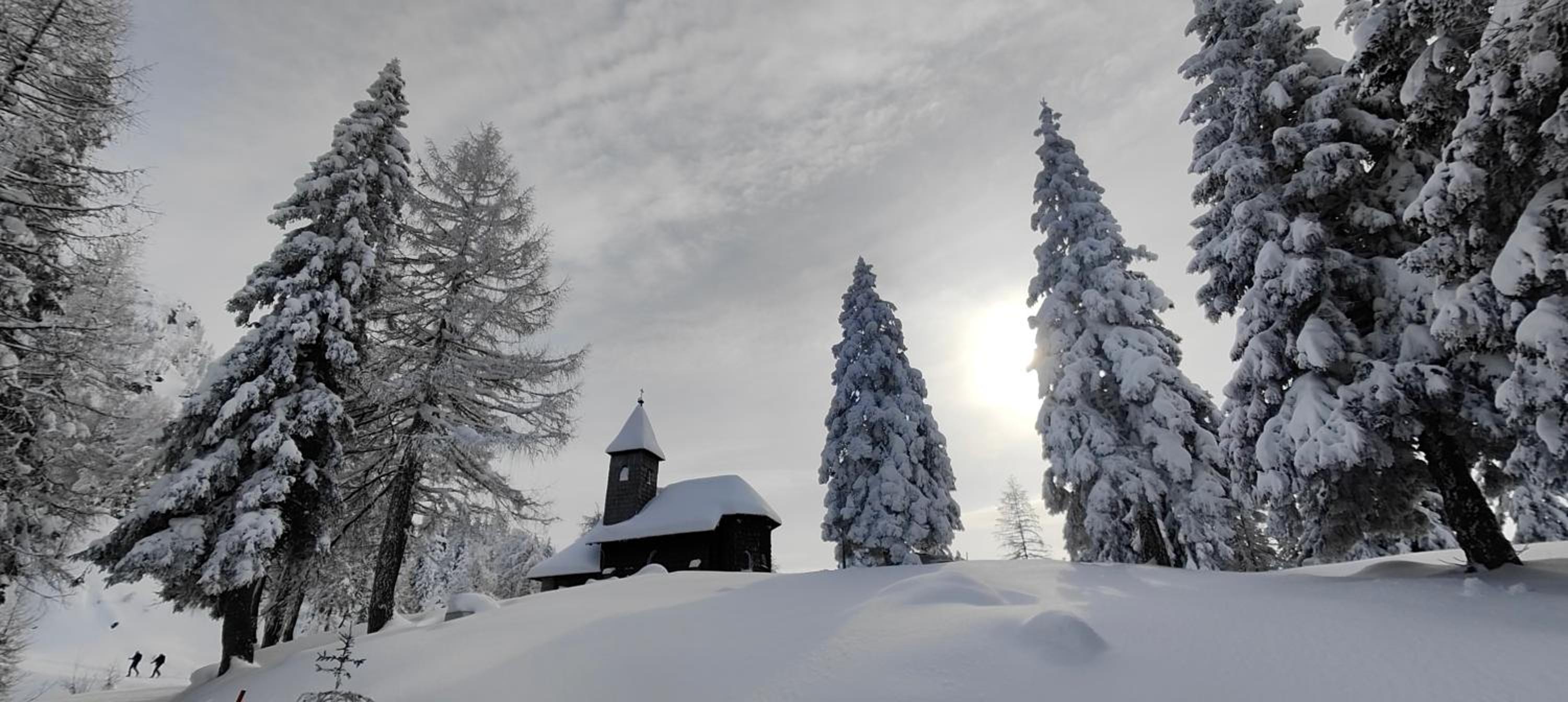 Sonnleitn AlpinWell Appartment (Ski in&out + Wellness)