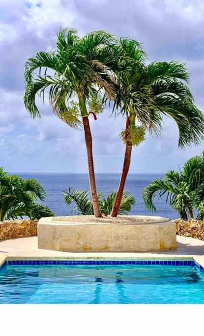 NewVilla-Coral Estate-WalktoBeach-Private Pool-up to 16 Guests SeaView