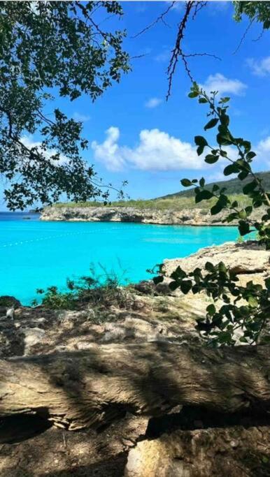 NewVilla-Coral Estate-WalktoBeach-Private Pool-up to 16 Guests SeaView