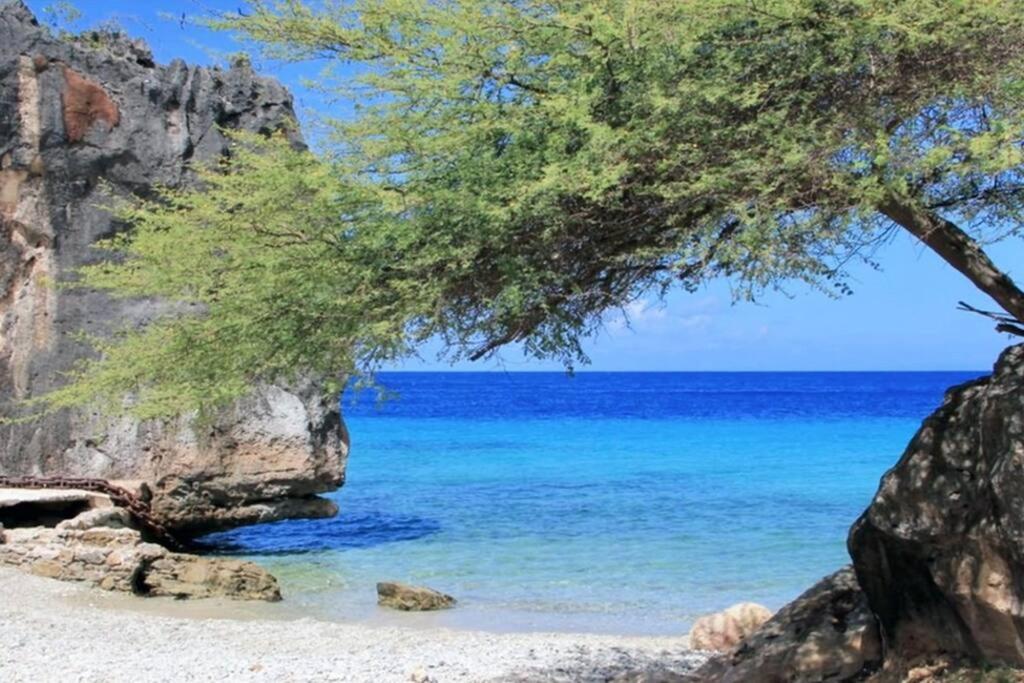 NewVilla-Coral Estate-WalktoBeach-Private Pool-up to 16 Guests SeaView