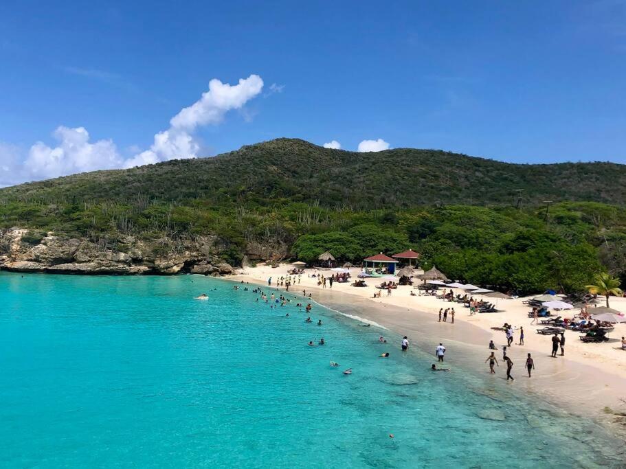NewVilla-Coral Estate-WalktoBeach-Private Pool-up to 16 Guests SeaView