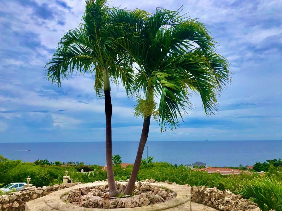 NewVilla-Coral Estate-WalktoBeach-Private Pool-up to 16 Guests SeaView