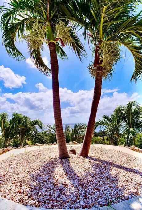 NewVilla-Coral Estate-WalktoBeach-Private Pool-up to 16 Guests SeaView