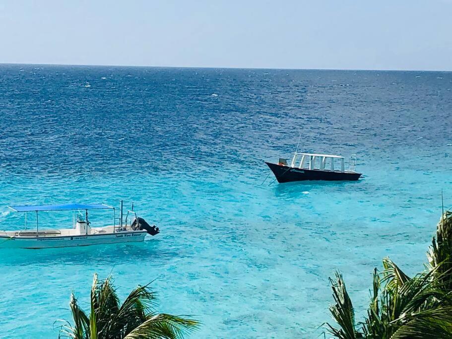 NewVilla-Coral Estate-WalktoBeach-Private Pool-up to 16 Guests SeaView