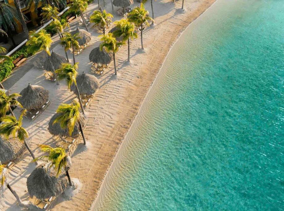 NewVilla-Coral Estate-WalktoBeach-Private Pool-up to 16 Guests SeaView