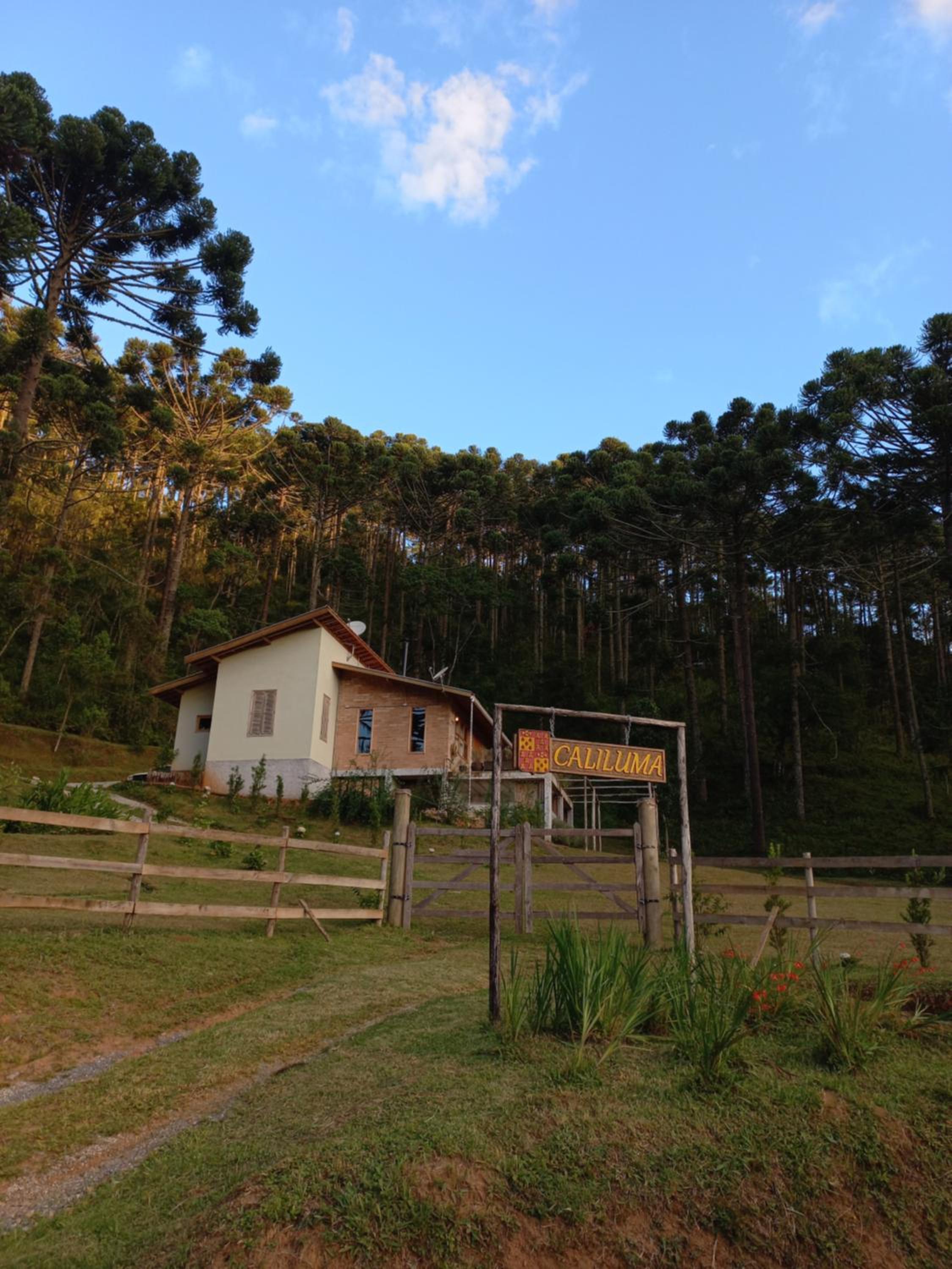 Caliluma view 2
