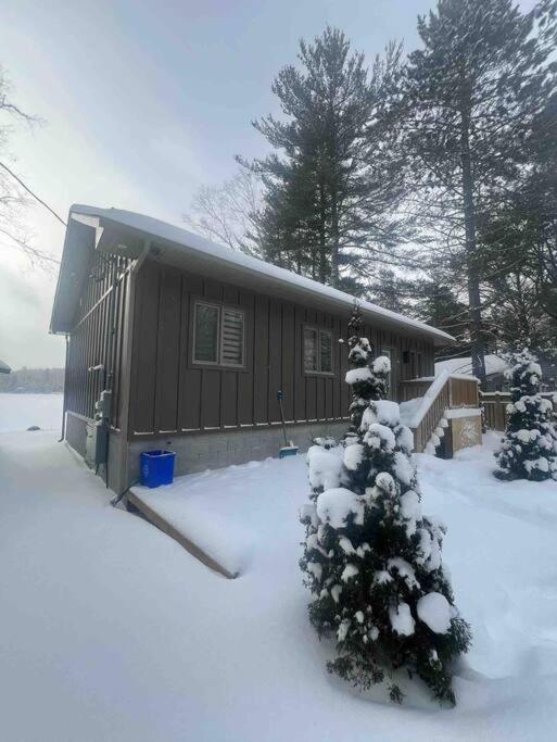 Cozy front lake cottage!