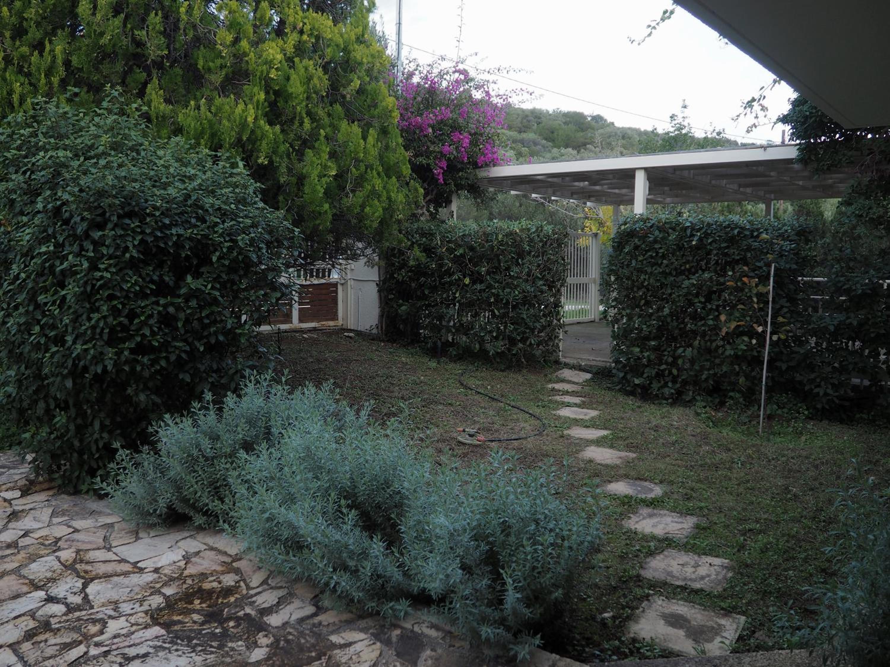 Photo 47