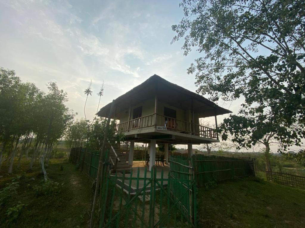 Photo 7