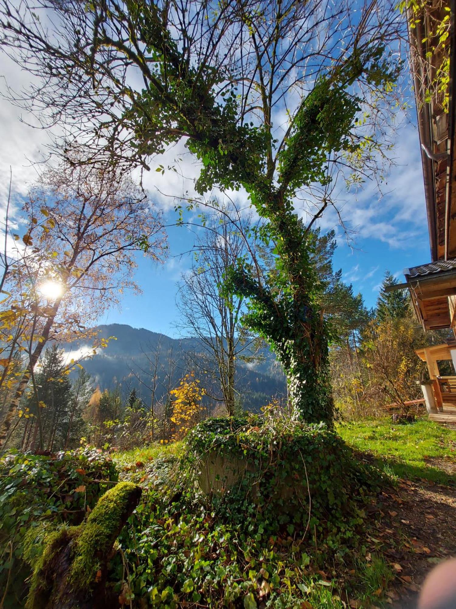 Naturetouch