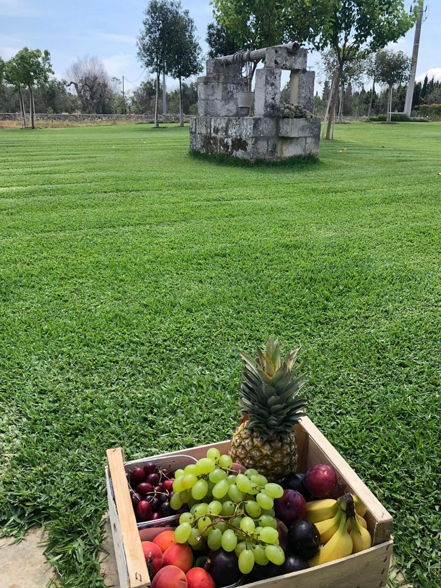 Agriturismo Tenuta Calitre