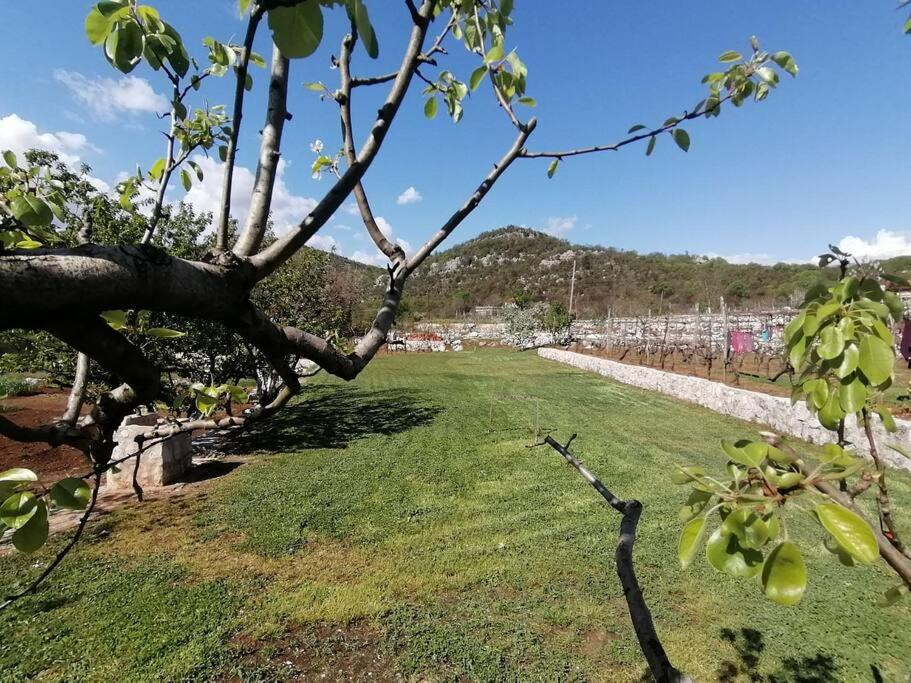 Kole stone studioapartment Rvaši view 5