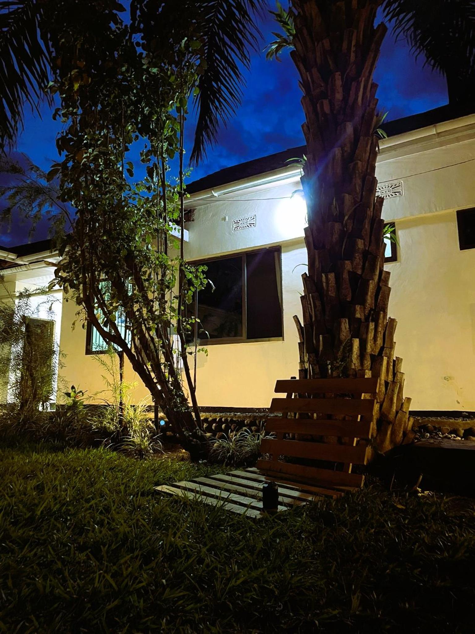 Photo 46