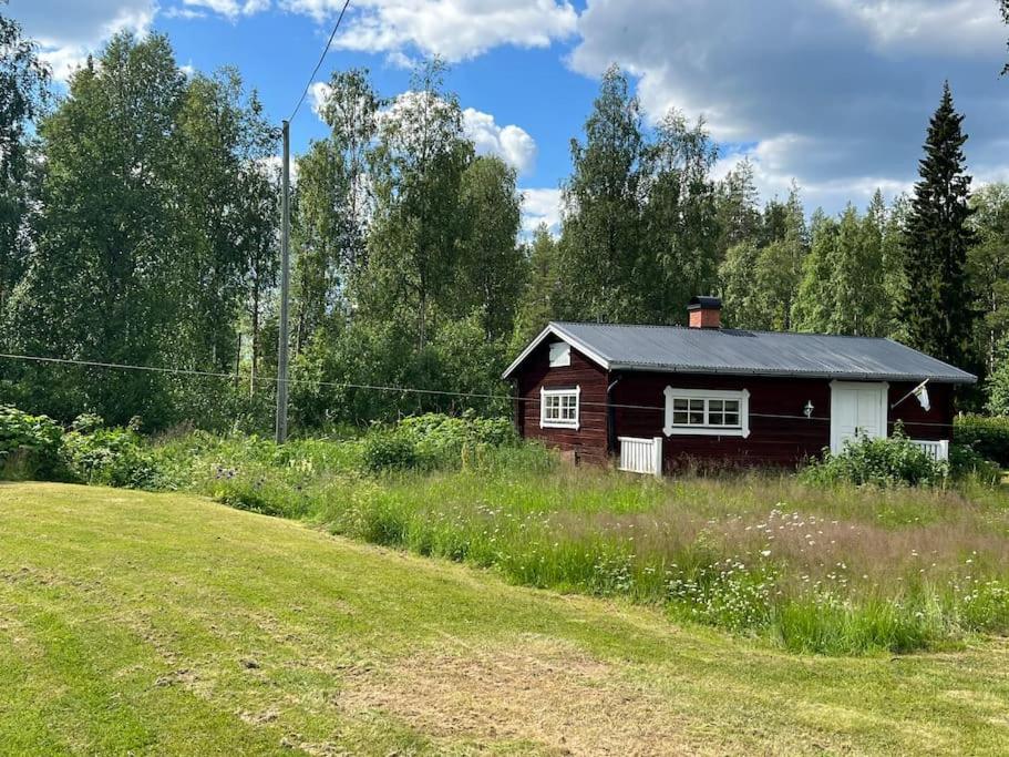 Vintage cabin - Sauna, grill, rural, close to lake & snowmobile trails, skiing