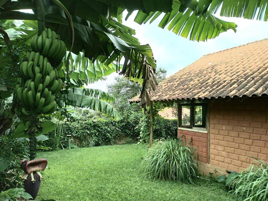 Casa Pôr do Sol - Milho Verde