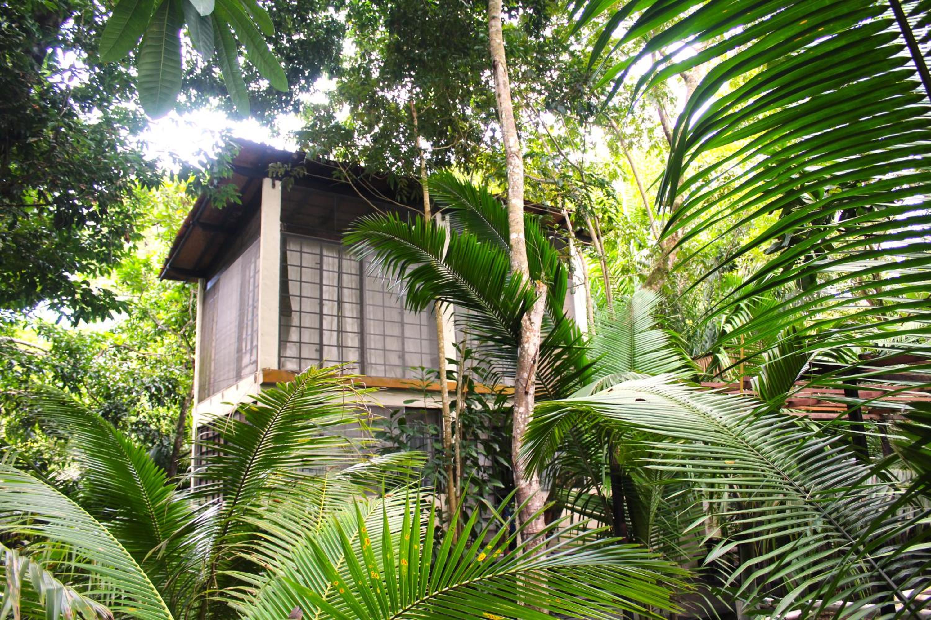 REFUGIO DO SAGRADO MORERE Tropical Lodge - A Casa do Vigía