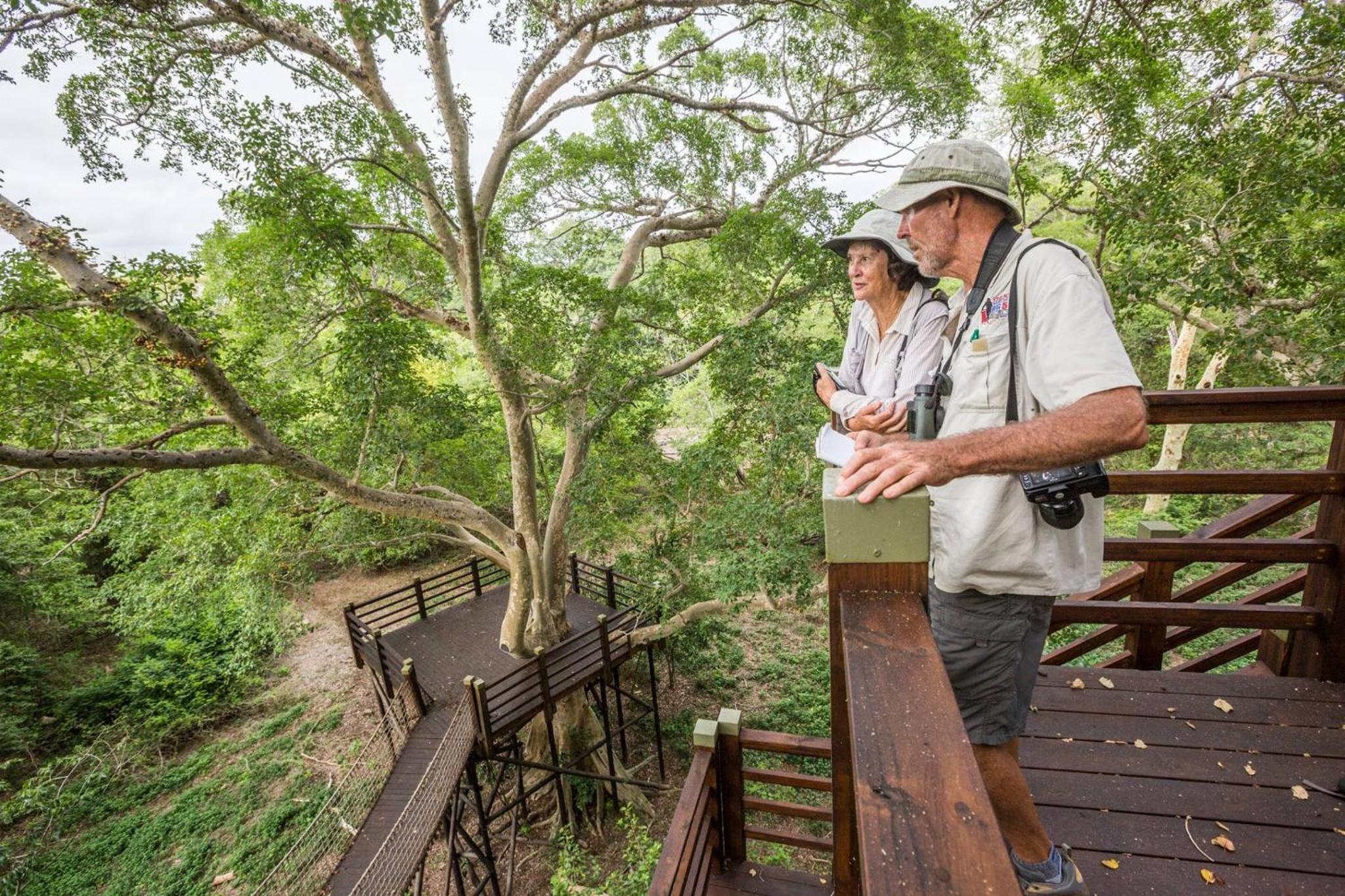 Leopard Corner Lodge