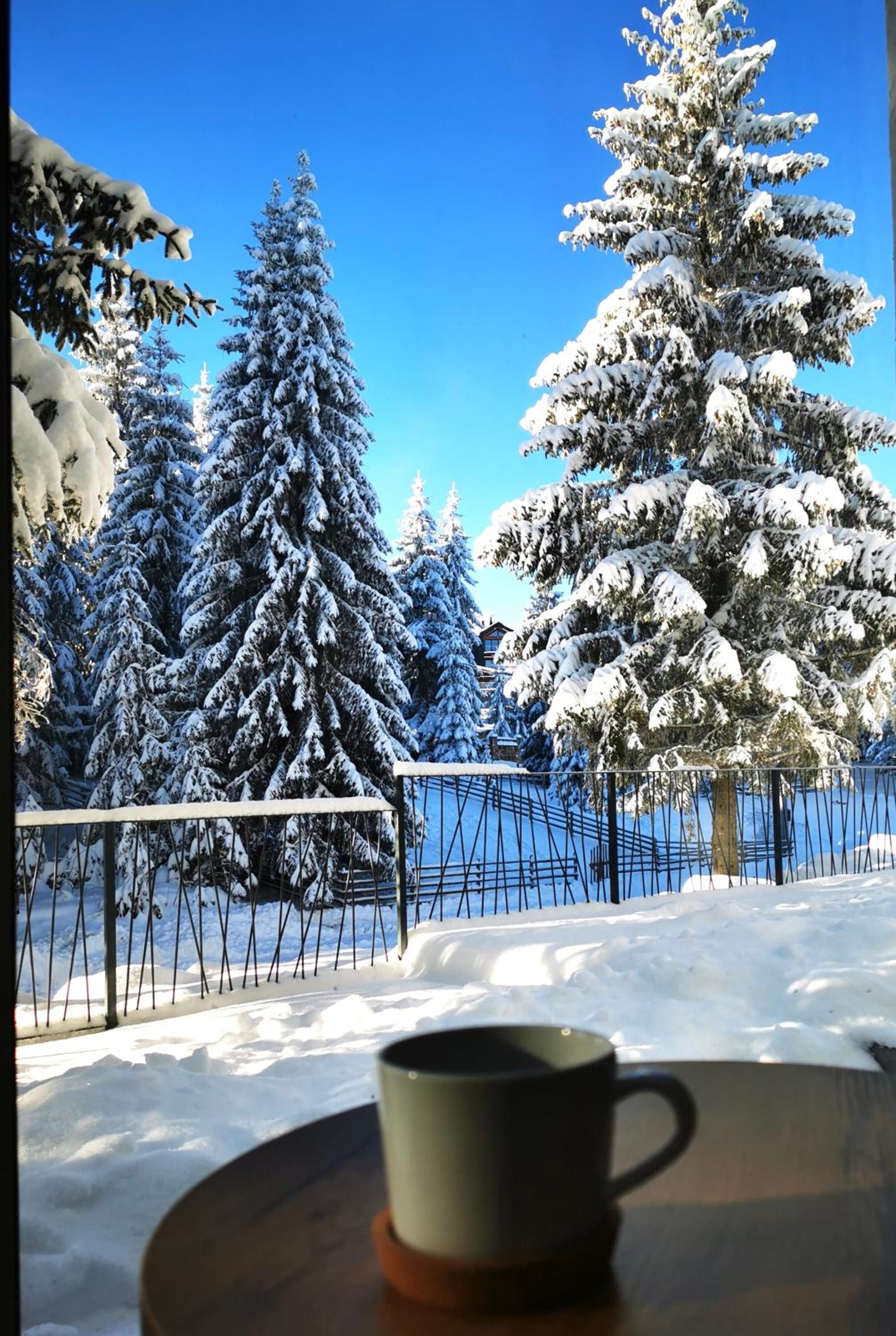 PineTree Jahorina