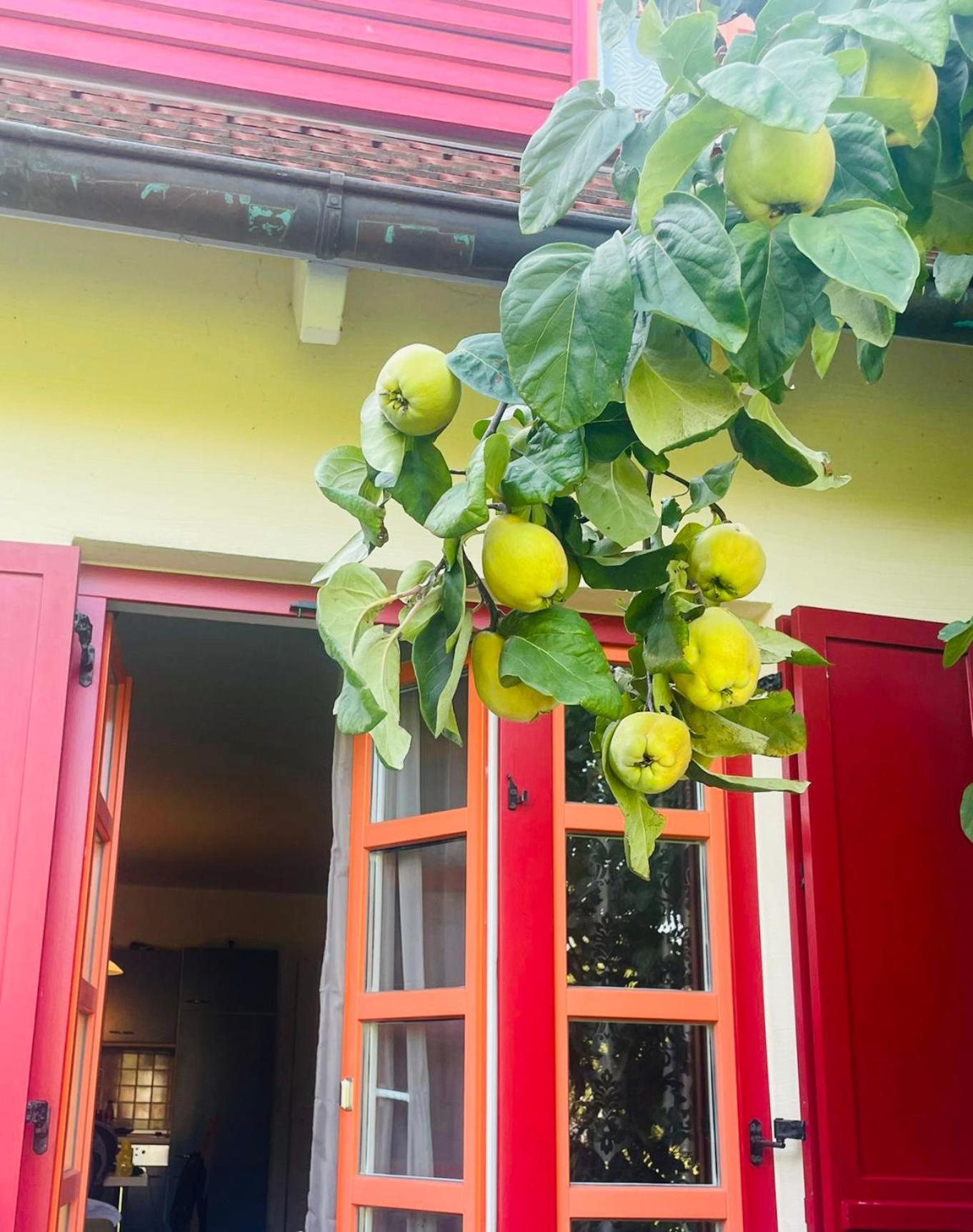 Möwenblick Bakenberg-41 Ferienwohnung mit Terrasse, Doppelbett, Schlafsofa, vollständige Komfortküche