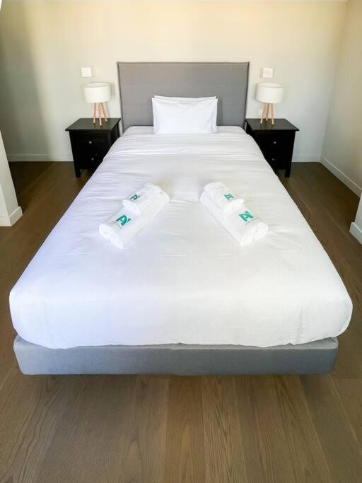 Aster ANhome Premium Selections