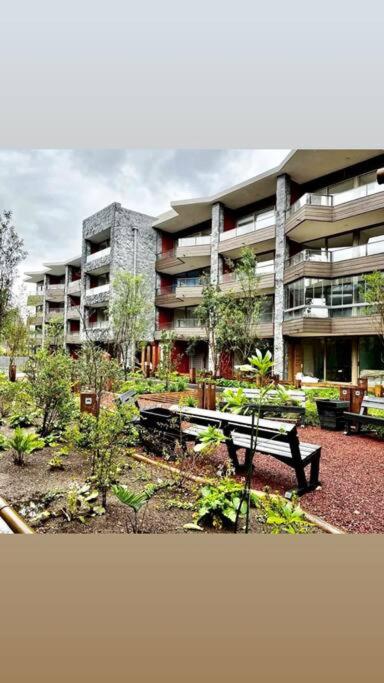 Precioso con jardin, amplio y central en Pucón