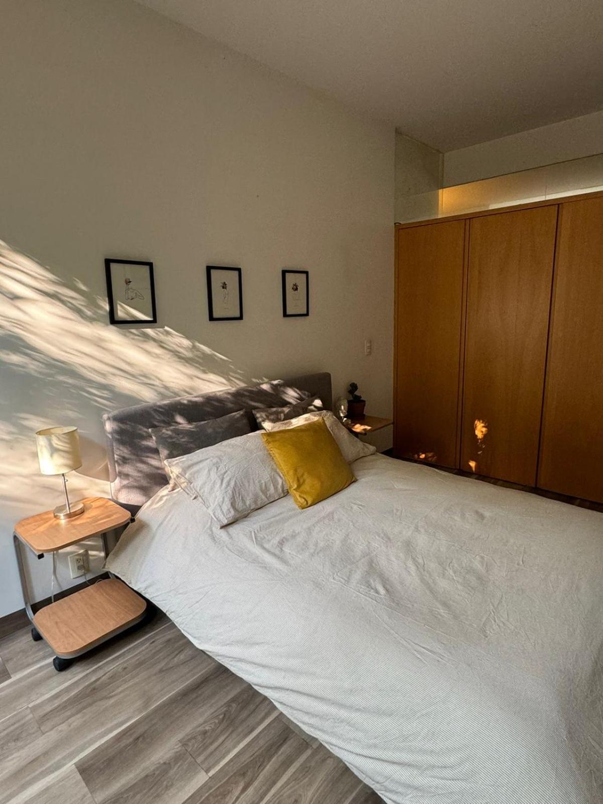 Stylish Pet-friendly Apt at Roma Norte photo 4