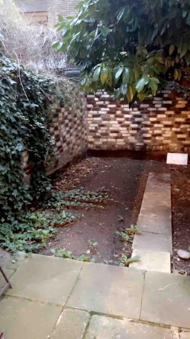Deluxe Garden Apartment