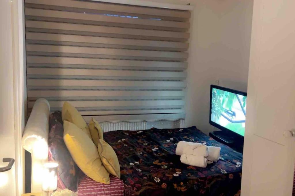Deluxe Garden Apartment