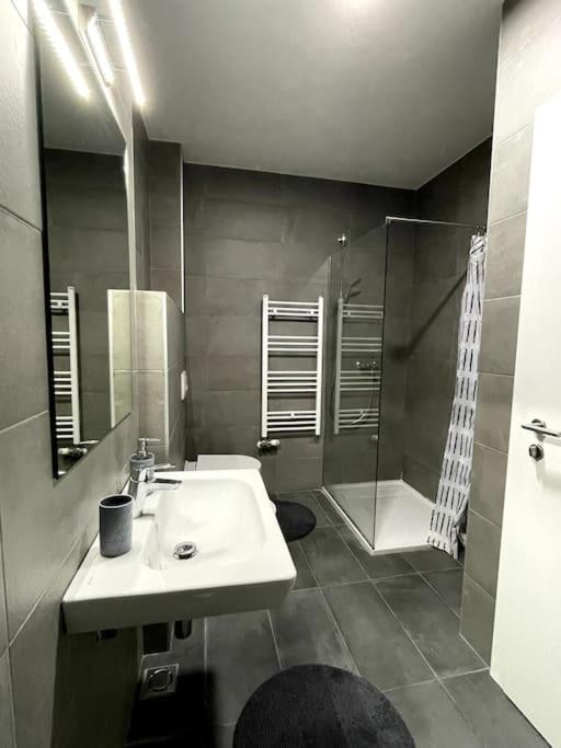 Flat in Sarajevo with a Garage