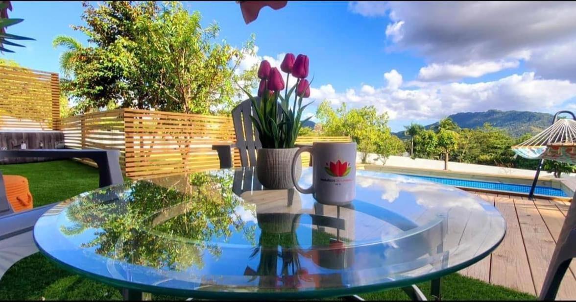 PARAISOS DE GABRIELA