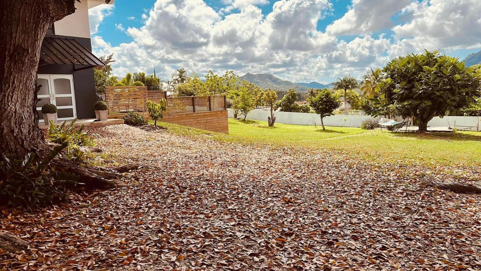 PARAISOS DE GABRIELA